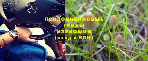 прущая мука Пролетарск