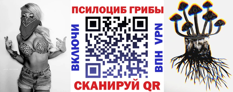 мориарти наркотические препараты  кракен зеркало  Пересвет  Псилоцибиновые грибы мицелий 